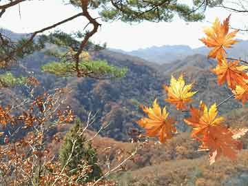 环球印馆公布股份合并3月18日生效